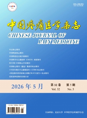 中国疼痛医学封面